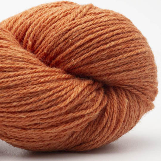 Bio Balance orange