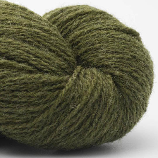 Bio Shetland olive