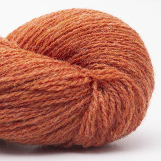 Bio Shetland orange